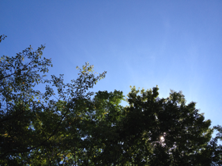 image-20120916211933.png