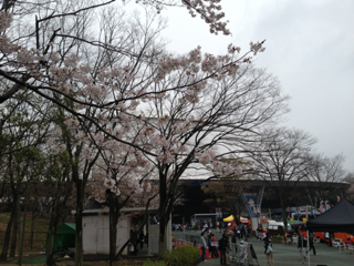 image-20130331173330.png