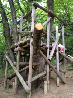 image-20130430060240.png