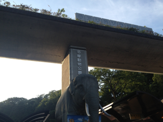 image-20130818064653.png