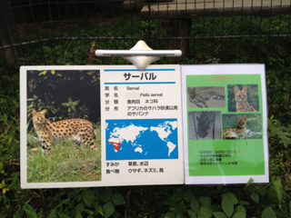 image-20130818065126.png