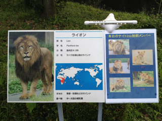 image-20130818065213.png