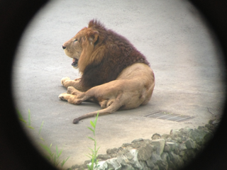 image-20130818065233.png