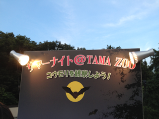 image-20130818065335.png