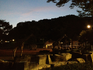 image-20130818065649.png