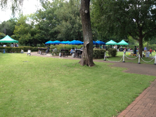 image-20130929203417.png