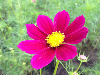 image-20130929203958.png