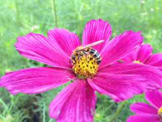 image-20130929204044.png