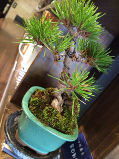 image-20131231145508.png